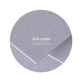 Clairefontaine 5532C Pack of 20 Envelopes Pollen Format C5 16.2 x 22.9 cm, 120 g, Lined, Ideal for Invitations and Correspondence, Premium Smooth Paper, Koala Grey, 1 Pack