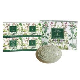 15-4 Botanical Non-Irritating Cleansing Soap 4 Pieces