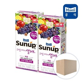 G Daily Sunup Fruit Stayer Salad Purple 200ml 48 Pack / G 매일 썬업 과일야채샐러드 퍼플 200ml 48팩