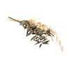 Rayher Mazzo di fiori secchi, verde pino, 18-20cm, bus.blis. 1pz,