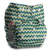 Littles & Bloomz, Reusable Pocket Cloth Nappy, Fastener: Popper, Set
