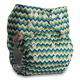 Littles & Bloomz, Reusable Pocket Cloth Nappy, Fastener: Popper, Set of 1, Pattern 30, with 1 Microfibre Insert