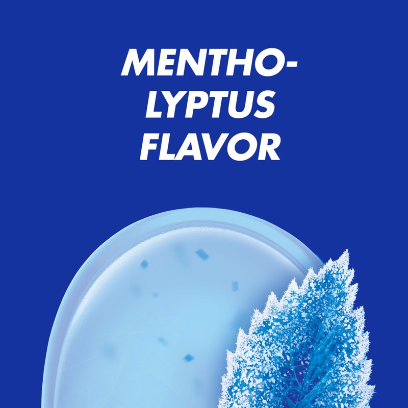 Halls Cough and Throat Relief Mentho-Lyptus Cough Drops, 12 Bags