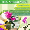 Halatool 6OZ Green Moss for Indoor Plants, 8QT Orchid Moss
