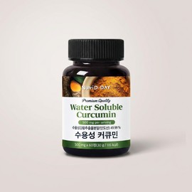 Nutri D Day Premium Water Soluble Turmeric Curcumin 60p 1 pc / 뉴트리디데이 프리미엄 수용성 강황 커큐민 60p 1개 1개