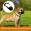 Dog Muzzle for Small Dog,1 PCS Soft Nylon Mesh Muzzle