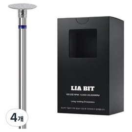 BESSIE Reabit flat buffer nail bit F, 4 pieces, silver / BESSIE 리아비트 플랫버퍼 네일비트 F, 4개, 실버