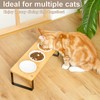 Sunhoo Raised Cat Food Water Bowl Elevated Tilted Kitty Dishes