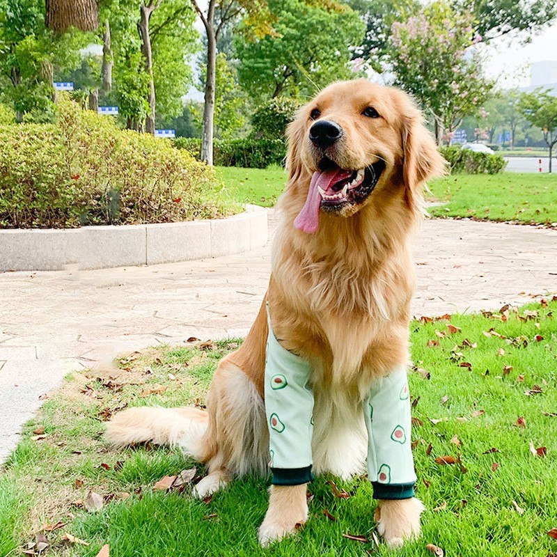 Dog Elbow Wounds Brace Thickened Soft Breathable Avocado Pattern Prevent