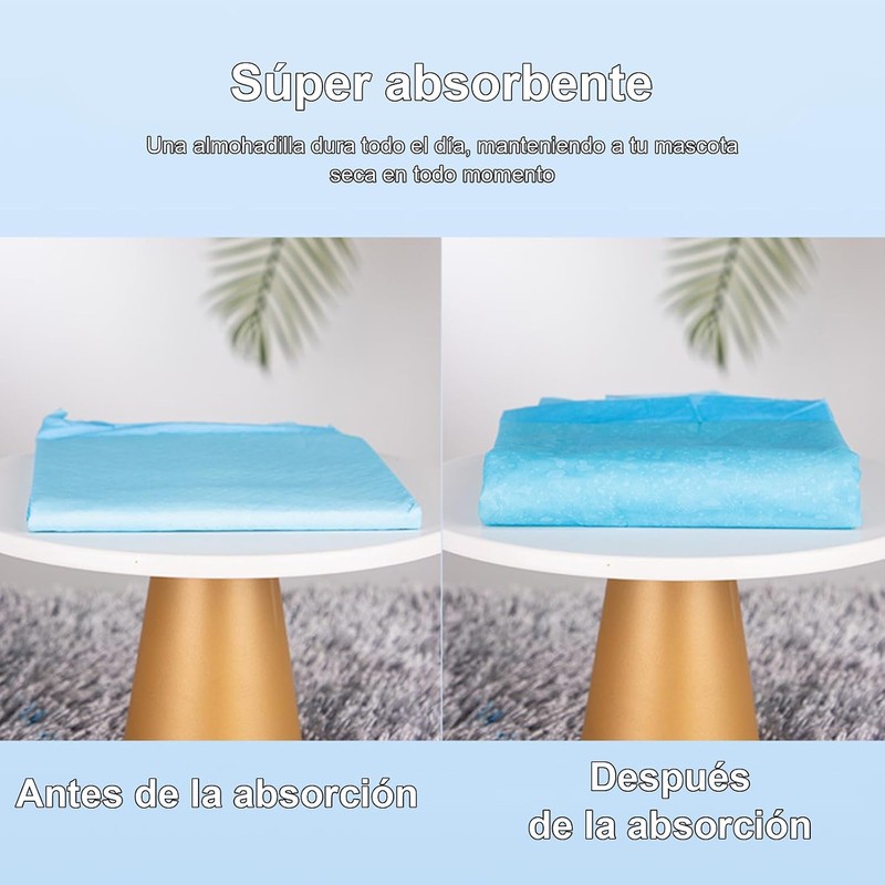 Tapete Entrenador para Perro, 50 Piezas de 60 x 60
