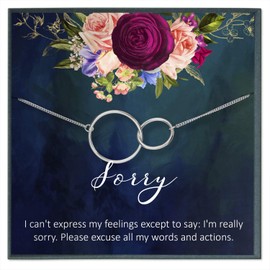 Im Sorry Gifts for Her Apology Gifts I'm Sorry Gift Forgive Me Gifts Im Sorry Gift for Her Forgive Me Friend Sorry Gifts for Girlfriend Sorry Necklace