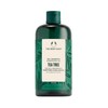 The Body Shop Tea Tree Purifying & Balancing Shampoo for
