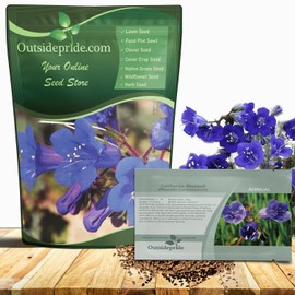 Outsidepride California Bluebell Wildflower Seeds - 5000 Pcs Annual, Hardy, Easy-to-Grow, & Pollinator-Friendly Phacelia Campanularia Flower Seeds for Planting Vibrant Blue Blooms in Summer Gardens