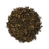 T2 Tea China Jasmine Loose Leaf Green Tea in Resealable