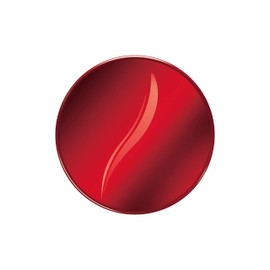 Ayaka Moisturizing Skin Cushion Foundation Case