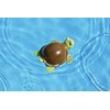 Poolmaster Swimming Pool Chlorine Dispenser, Turtle