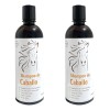 Shampoo Anticaída con Romero y Sábila para Crecimiento Capilar, de