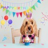 Persoshow Dog Birthday Party Supplies,Dog Birthday Party Hat Bandana with