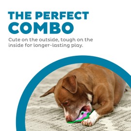 Outward Hound Durablez Tough Plush Squeaky Dog Toy, Owl, Purple, XS