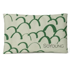 SoYoung No-Sweat Ice Pack for Lunch Boxes, Dino Scales