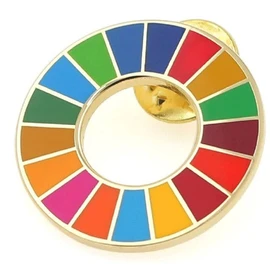 SDGs Badge Pin Badge (1 Piece), Pin Batch, Lapel Pin (1.0 inch (25 mm), Cloisonne Batch, Gold, Bright, 3 Fasteners, Perfect for Hats, Bags, Cute, Golden)