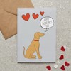 Vizsla Valentine's Day Card