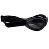 2 Pairs of Birdz Eyewear Parrot Black Folding Padded Motorcycle