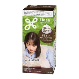 Liese Bubble Color Hair Color Restoration Natural Brown 4.3 fl oz (115 ml)