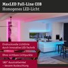 Paulmann 71199 MaxLED 500 LED Strip RGBW 2.5 m 15