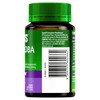 Cenovis Ginkgo Biloba 2000 - Supports Memory and Mental Recall