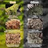 Riare 2.2LB Natural Sphagnum Moss for Reptiles- 50QT Reptile Substrate
