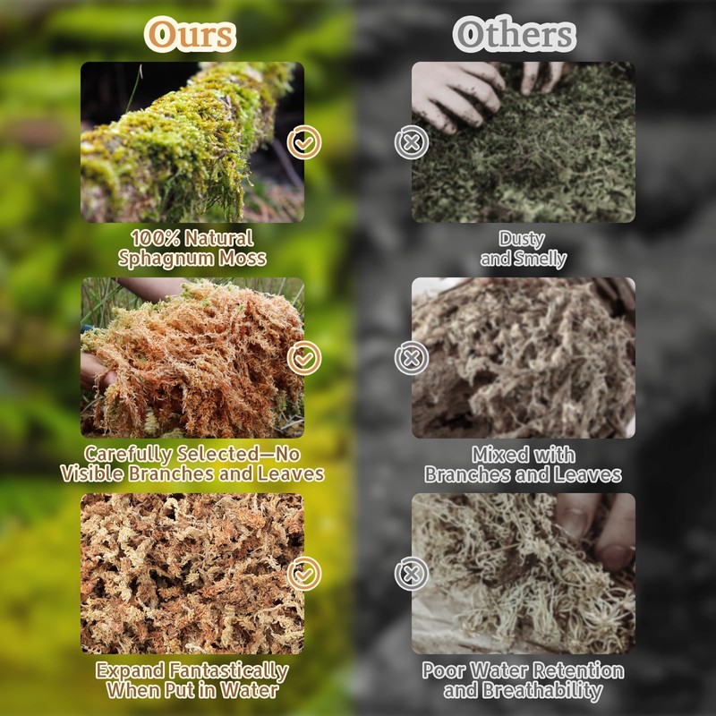 Riare 2.2LB Natural Sphagnum Moss for Reptiles- 50QT Reptile Substrate
