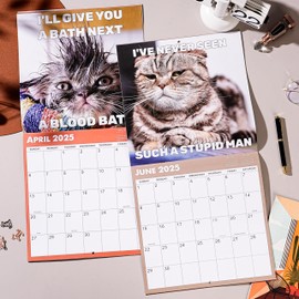 2025 Calendar - 2025 Wall Calendar, Jan.2025 - Dec.2025, 12" x 24" (Open), 12 Monthly Wall Calendar Gift, Wall Calendar 2025 with Unruled Blocks,Hanging Hole - Blue Cat