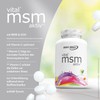 Best Body Nutrition Vital MSM Aktiv Tabs mit Vitamin C,