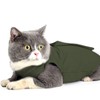 oUUoNNo Cat Wound Surgery Recovery Suit for Abdominal Wounds or