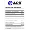 AOR - Ortho Iron Vegan - 60 Capsules - Helps