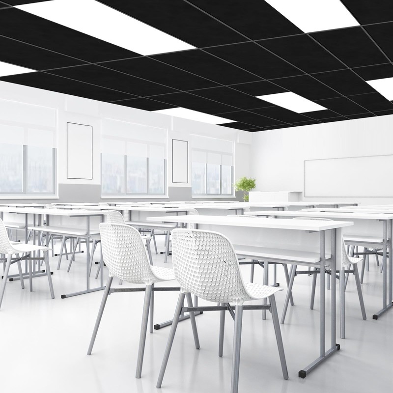 Toemics Drop Ceiling, 12 Pack Ceiling Tile 2ft x 4ft