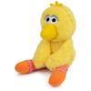 GUND Sesame Street Official Big Bird Take Along Buddy Plush,