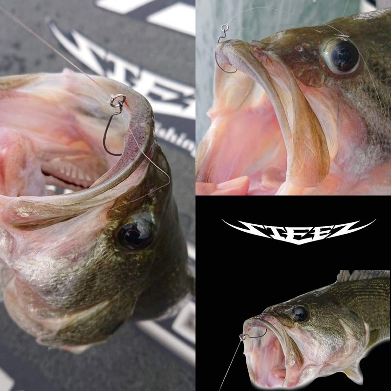 Daiwa (Bus for Worm Hook # 2/0 Wide Offset Steez