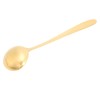 Serving Spoon Mirror Polished Brass Glossy Edges Heavy Duty Round