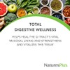 NaturesPlus GI Nutra Total Digestive Wellness Powder - Enzyme Supplement