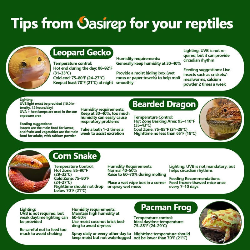 Oasirep Reptile Thermometer and Hygrometer – Fast Accurate LCD Digital
