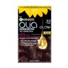 Garnier Olia Permanent Hair Dye, Visibly Improved Hair Quality, 3X