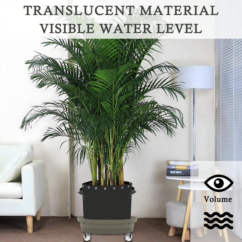 Molgoc Self-Watering Base with Visible Water Level,5-Pack,Keeps Leaves and Flying