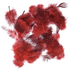 ZUCKER Feather (TM) - Loose Guinea Plumage Natural - Red