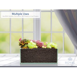 Royal Imports Flower Glass Vase Decorative Centerpiece for Home or Wedding Oblong Rectangle Shape (8", Clear)