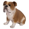 Vivid Arts - Bulldog - XRL-BDOG-D