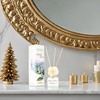 Aronica Mini Sola Flower Diffuser, 40 ml – Midnight Jasmine