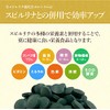 Spirulina Publishing Association Spirulina Weathered Shell Calcium, 1,200 Capsules x