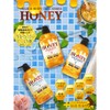 HONEY TREATMENT 20.2 fl oz (600 ml) [Horse Oil +